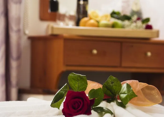 فندق Panorama 3*